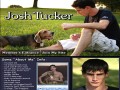 Site Preview