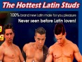Site Preview